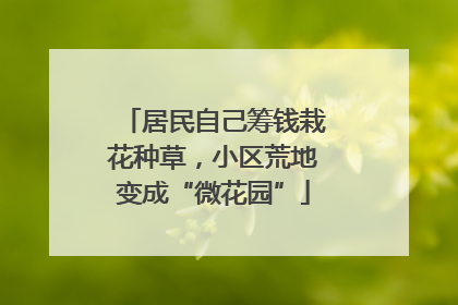 居民自己筹钱栽花种草，小区荒地变成“微花园”